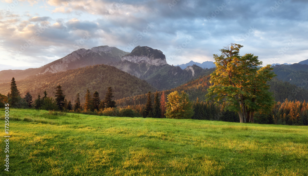 Obraz premium Sunrise landscape in mountain, Tatranska Javorina, Slovakia