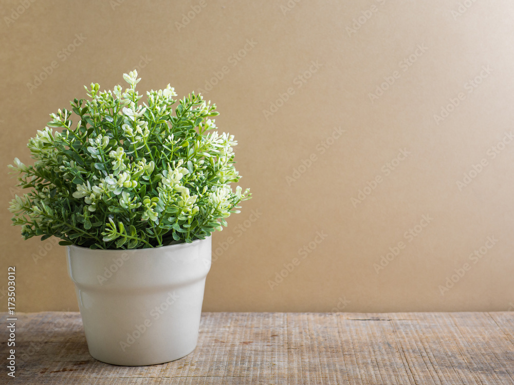 Fototapeta premium Flowerpot on wooden background with morning light