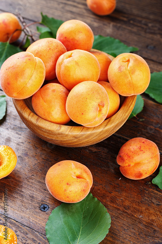 apricot summer harvest