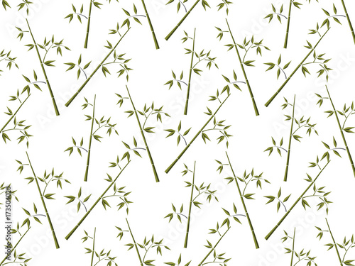 bamboo background. vector pattern. 