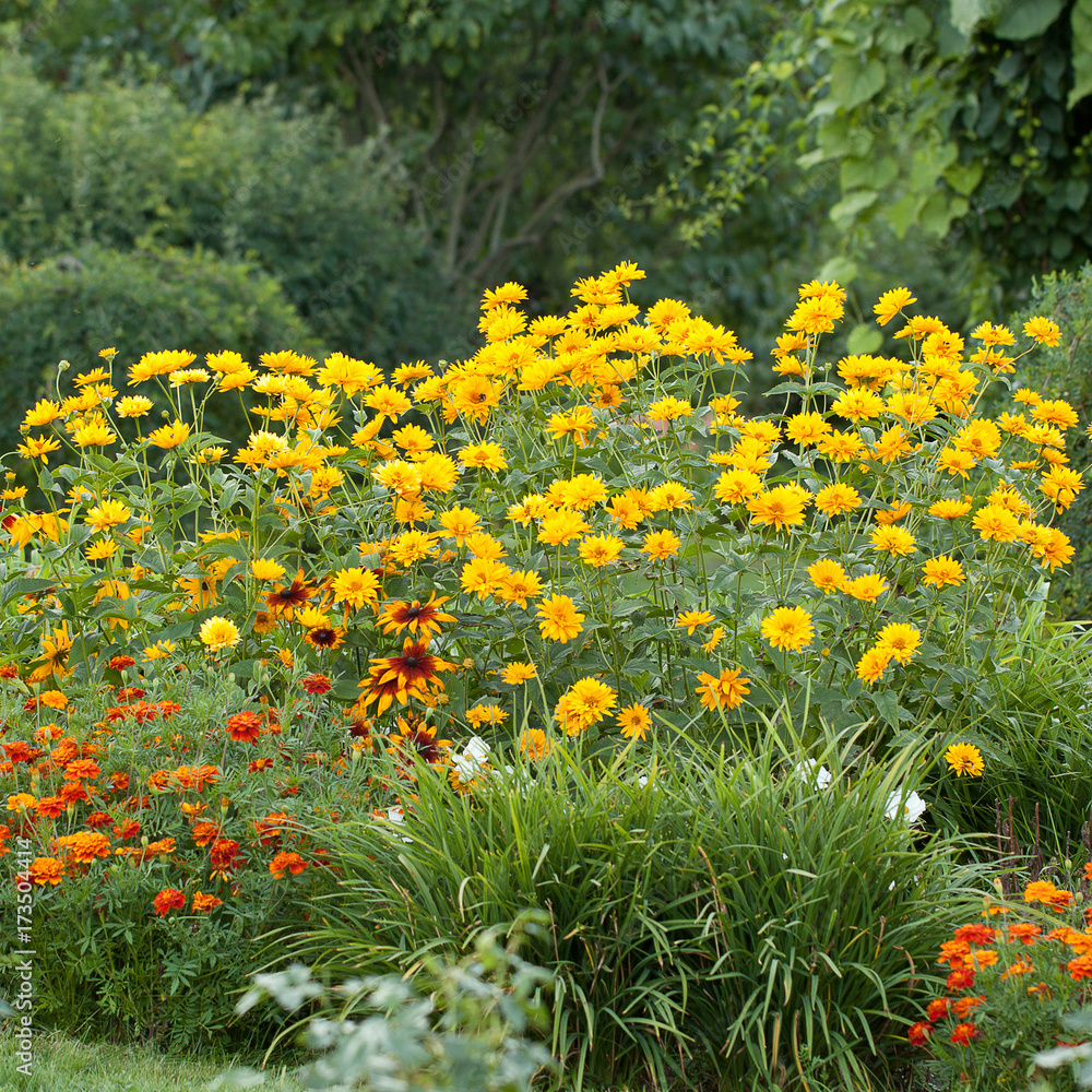 Obraz premium beautiful and well-kept summer park with blossom flowers and fluffy shrubs