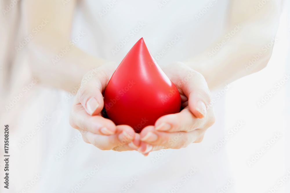 Hands holding a red blood - obrazy, fototapety, plakaty 
