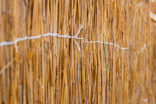 Wicker fence of reeds