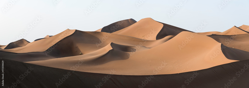 Fotografia Golden dunes