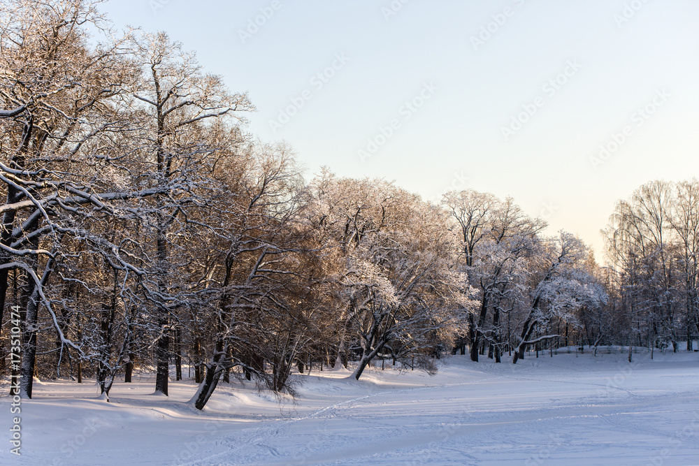 cold winter day cold winter day