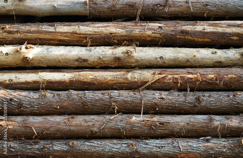 Close up on rough log wood wall of rural house Close up on rough log wood wall of rural house