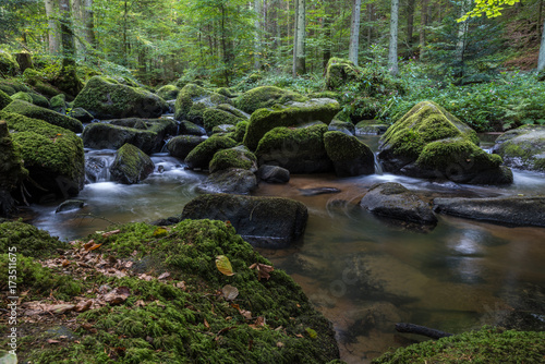 Small rocky river in the forest