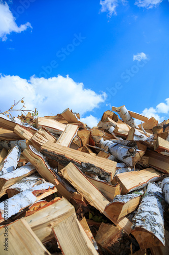 Chopped birch firewood for heating in winter
