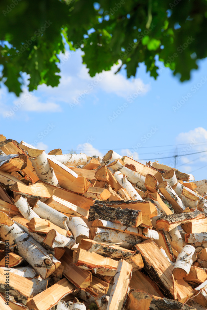 Chopped birch firewood for heating in winter Chopped birch firewood for heating in winter