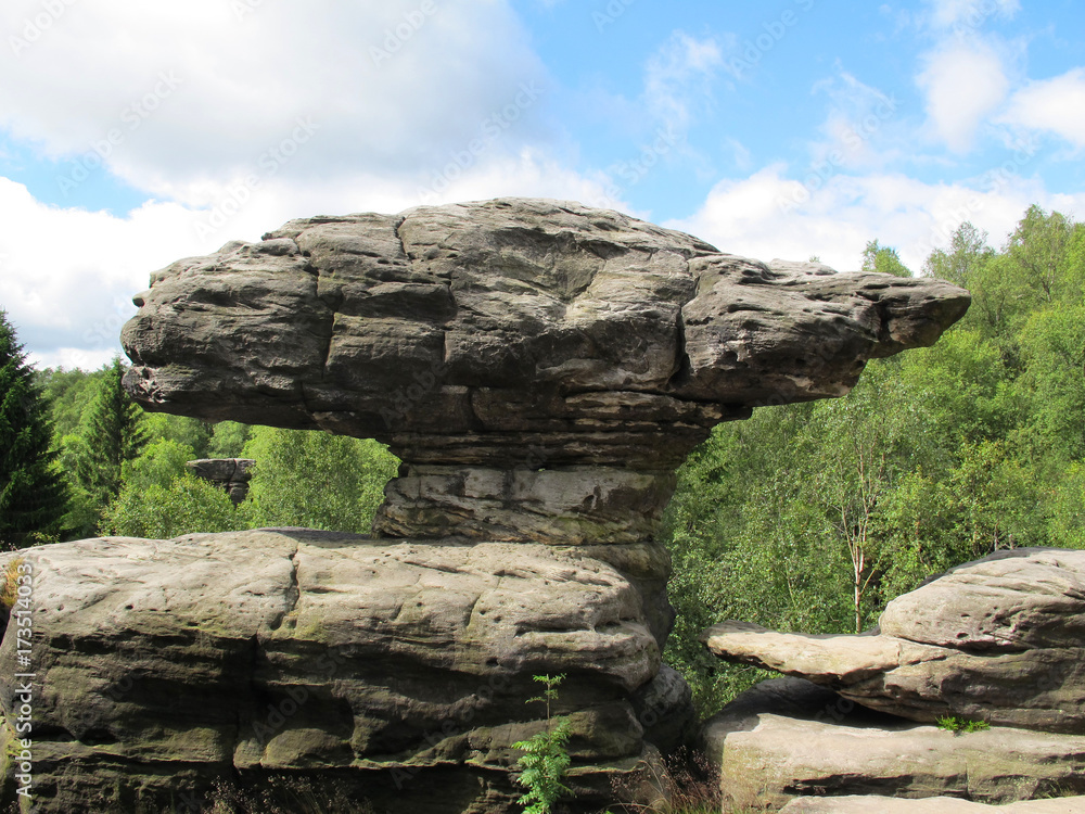 Rock formation boletus, Tisa sandstone Rocks (Czech Republic)