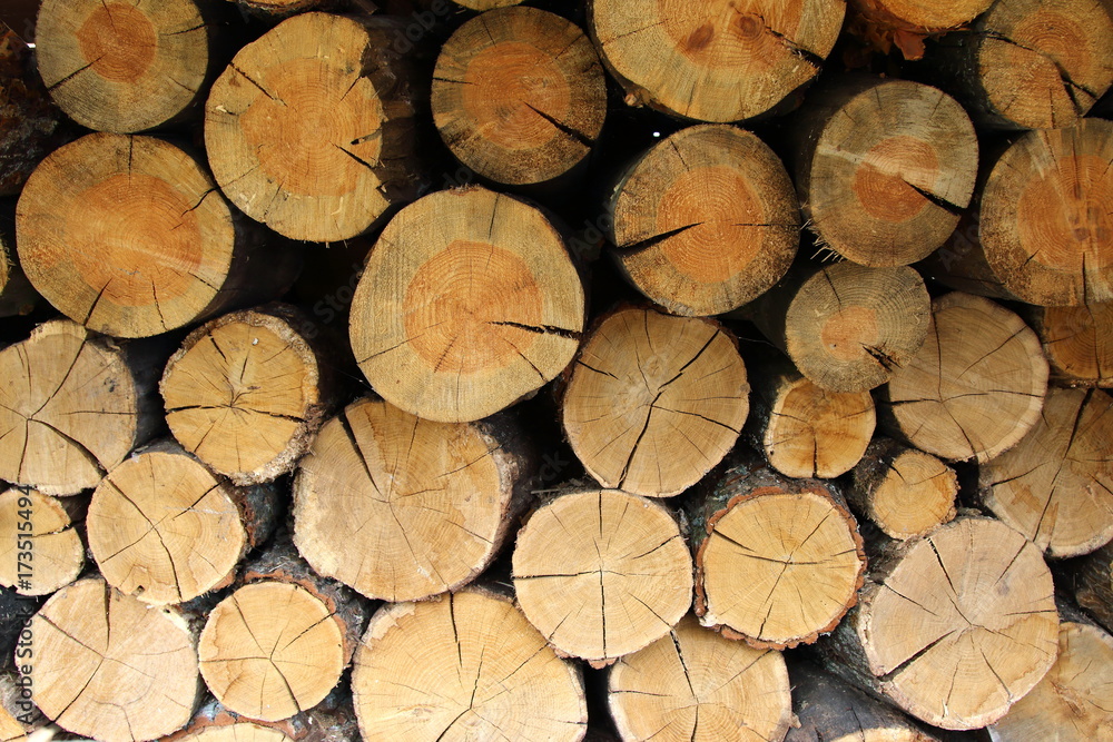 Pile of firewood as background texture Pile of firewood as background texture