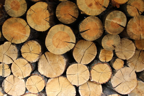 Pile of firewood as background texture
