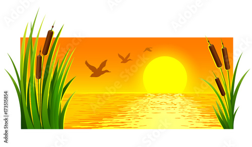 Landscape of sunset at lake with reeds and bright sun