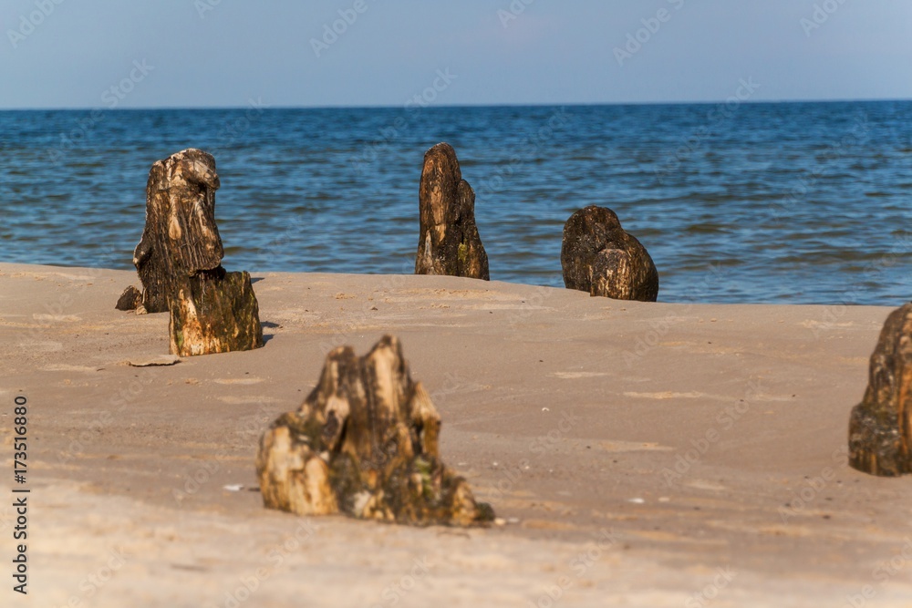 Old coastal protection with a breakwater. Wooden stakes in the sea. Autumn morning on the beach of the Baltic Sea.