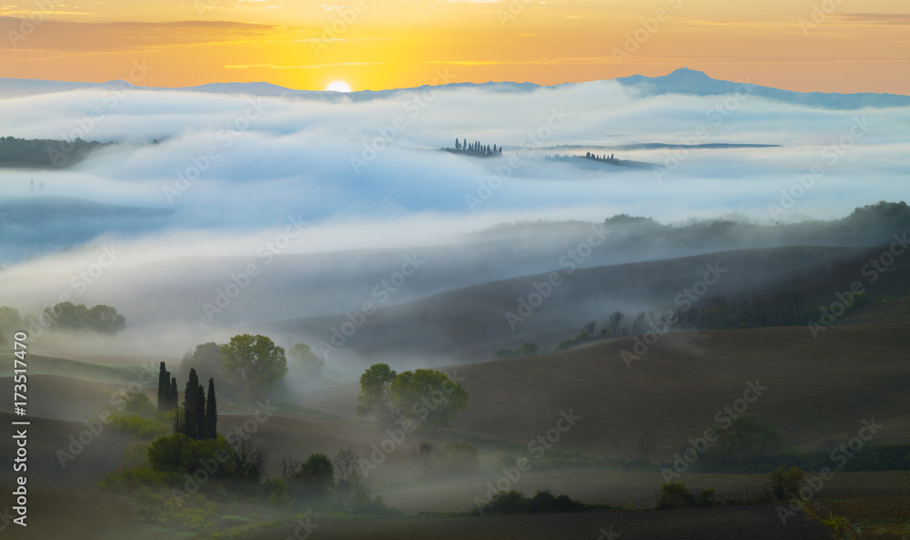 classic tuscan landscape,Fields and vineyards in the morning mist