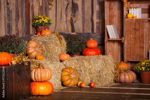 Wooden interior with pumkins, autumn leaves and flowers. Halloween and thanksgiving decoration.