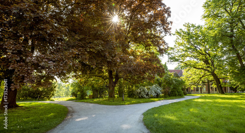 Y-junction of paths in park as a choice concept