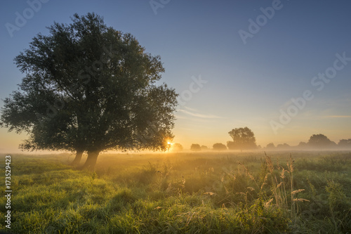 beautiful fairytale sunrise over a foggy meadow