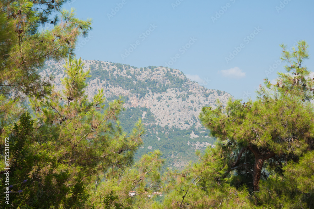 Turkish Taurus Mountains and pine tree branches in summer Turkish Taurus Mountains and pine tree branches in summer
