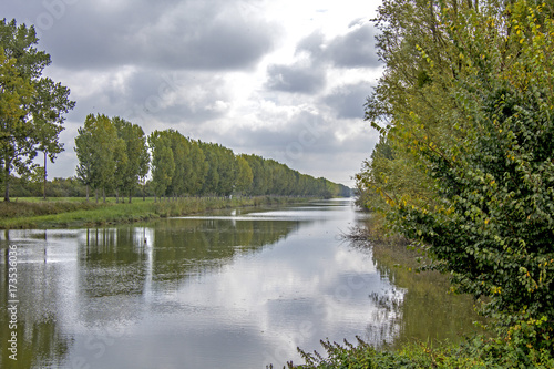 Bords de Loire, nature, ciel, oiseux