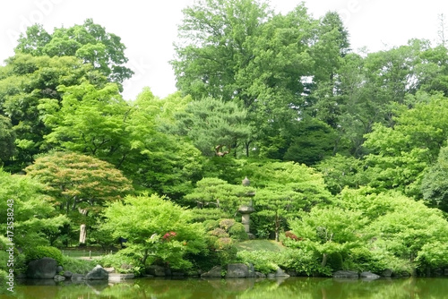 Green plants, pond with reflection in Japanese zen garden