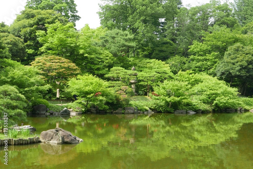 Plants  water pond with reflection in Japanese zen garden