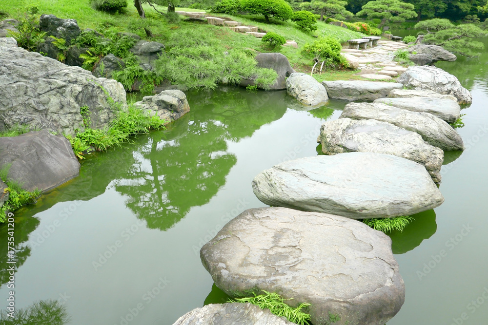 The green tree, plants, Japanese zen garden and lake The green tree, plants, Japanese zen garden and lake