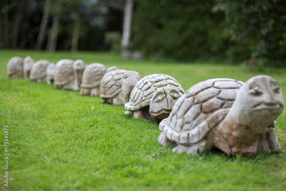 Tortoise wood scilptures on the grass Tortoise wood scilptures on the grass