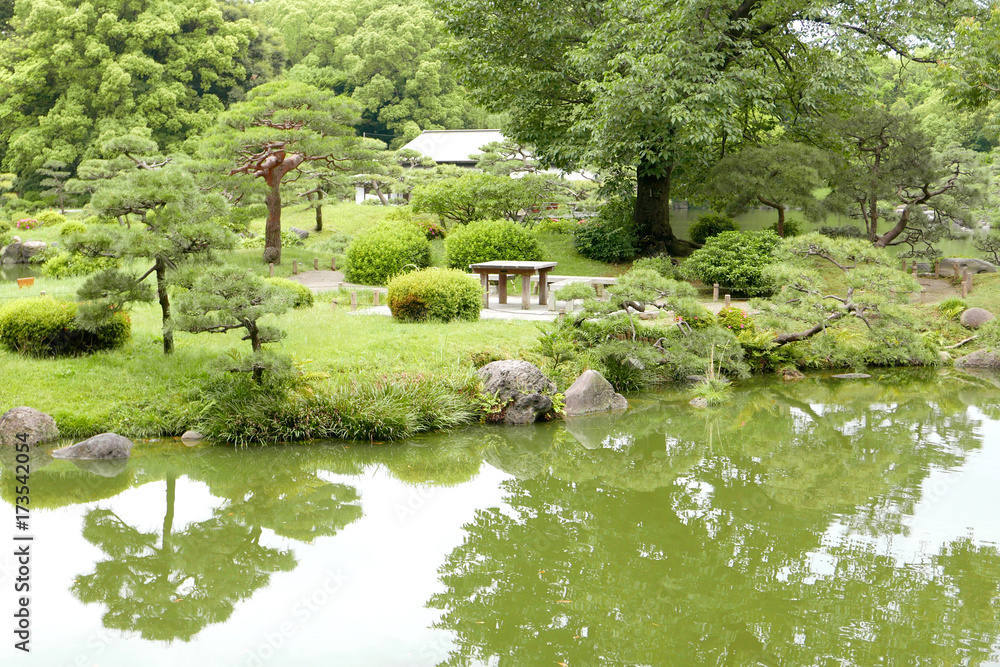 The green tree, plants, Japanese zen garden and lake The green tree, plants, Japanese zen garden and lake