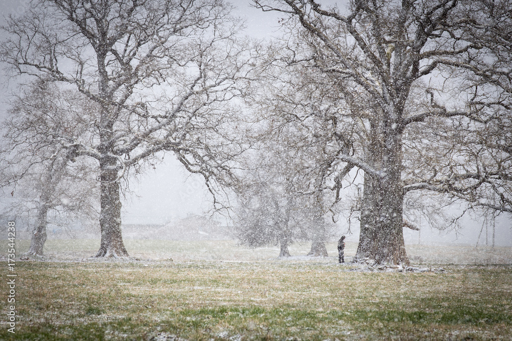 Snowy weather in April, Latvia Snowy weather in April, Latvia