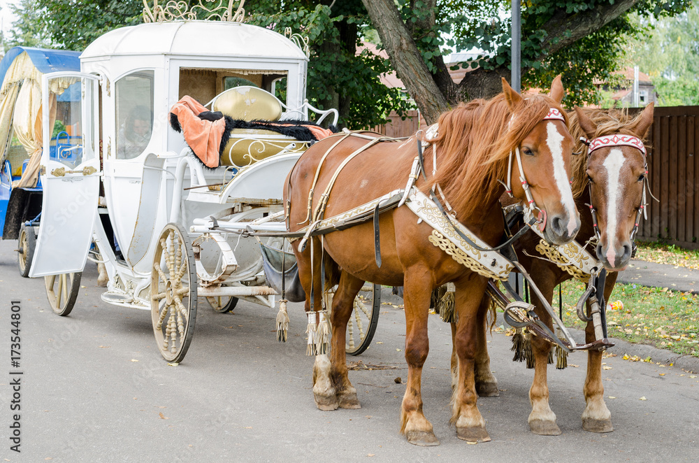 Horse with a carriage for walking around the city of Suzdal.