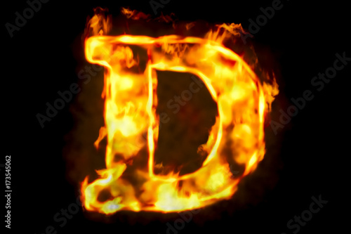 Fire letter D of burning flame light, 3D rendering