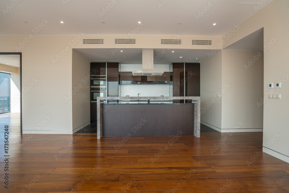 Interior of empty apartment, wide room with kitchen. Interior of empty apartment, wide room with kitchen.