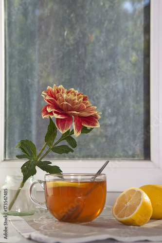Fototapeta Naklejka Na Ścianę i Meble -  the Autumn still life with oranger dahlias in a tin jar, a cup of tea and on the window in sunny weather