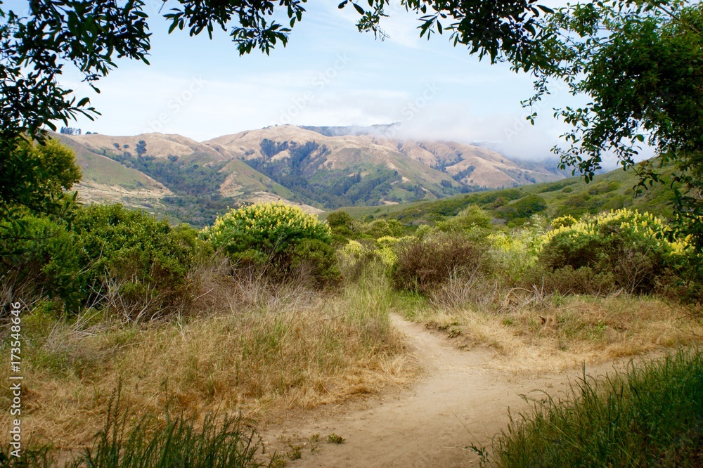 Scenic Mountain Path Scenic Mountain Path