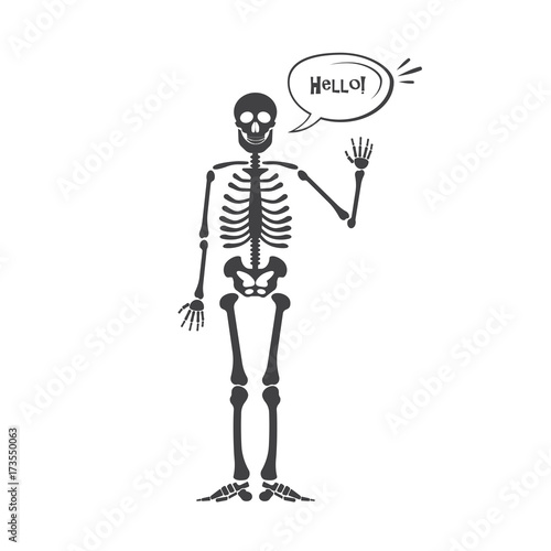 Skeleton human anatomy. Vector halloween black skeleton isolated on white. Skeleton hand sign: ok, finger up, finger down, fist, middle finger, Rock n roll horns, clapping palms and other emoji.
