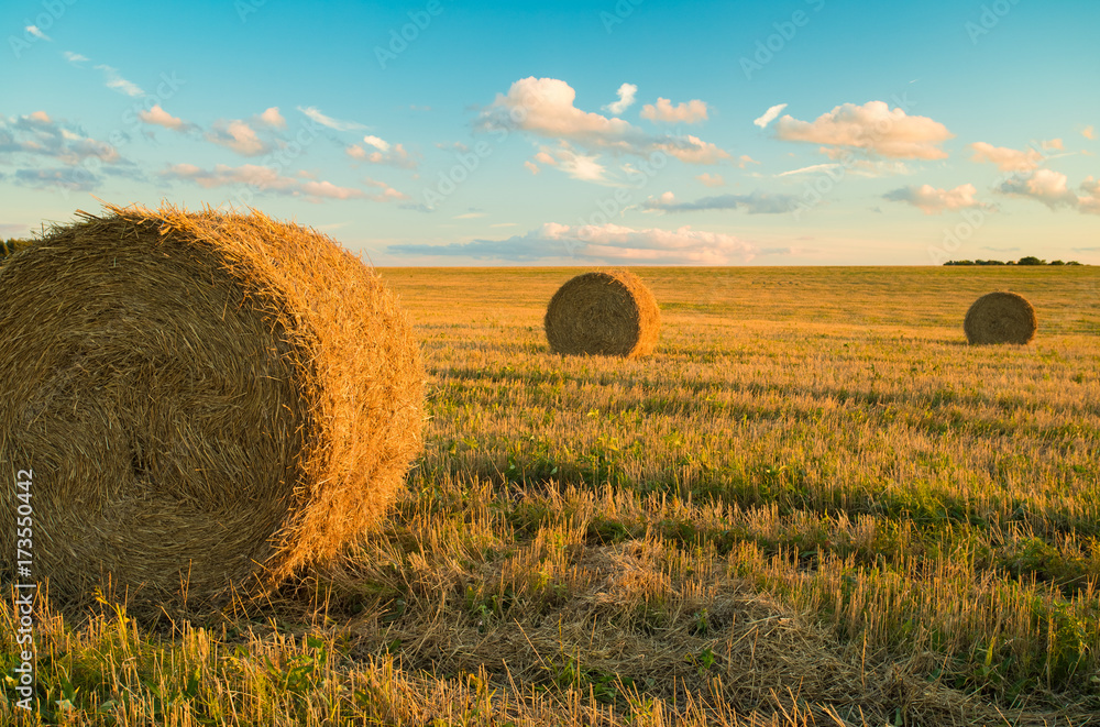 Beautiful Summer Landscape: Hay Straw Bale On Agricultural Field On Blue Sky With Clouds At Sunset Or Sunrise.