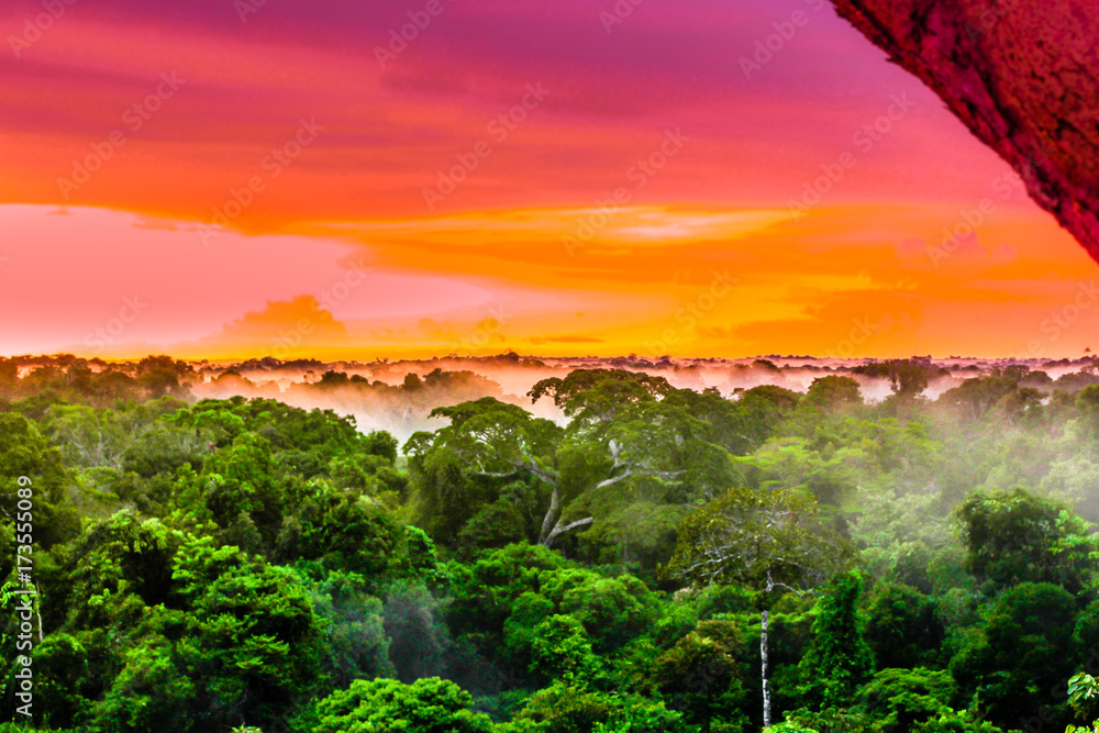 View on purple sunset over the brazilian rainforest in the Amazon region - obrazy, fototapety, plakaty 