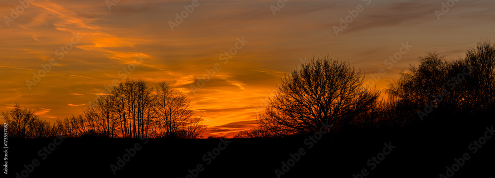 Winter sunset over fields with tree silhouettes 