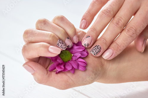 Beautiful chrysanthemum in female hands. Gentle beige manicure with black art. Women arms treatment and care.