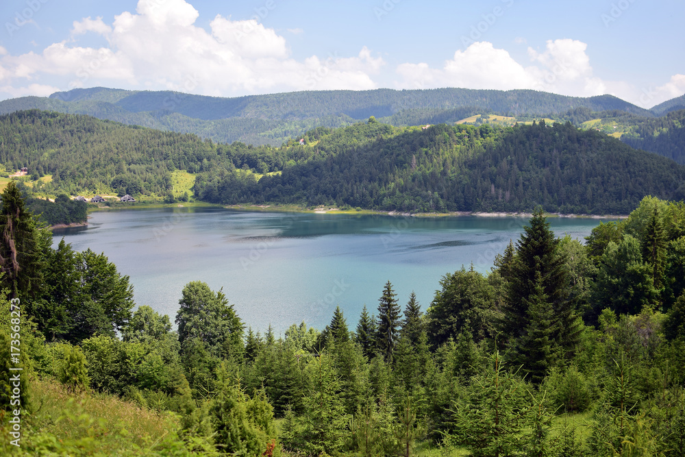 Zaovine lake, Tara mountain, Serbia. Summer lake landscape