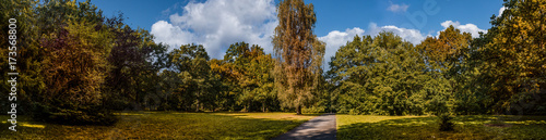 schöne Herbststimmung im Park mit Weg