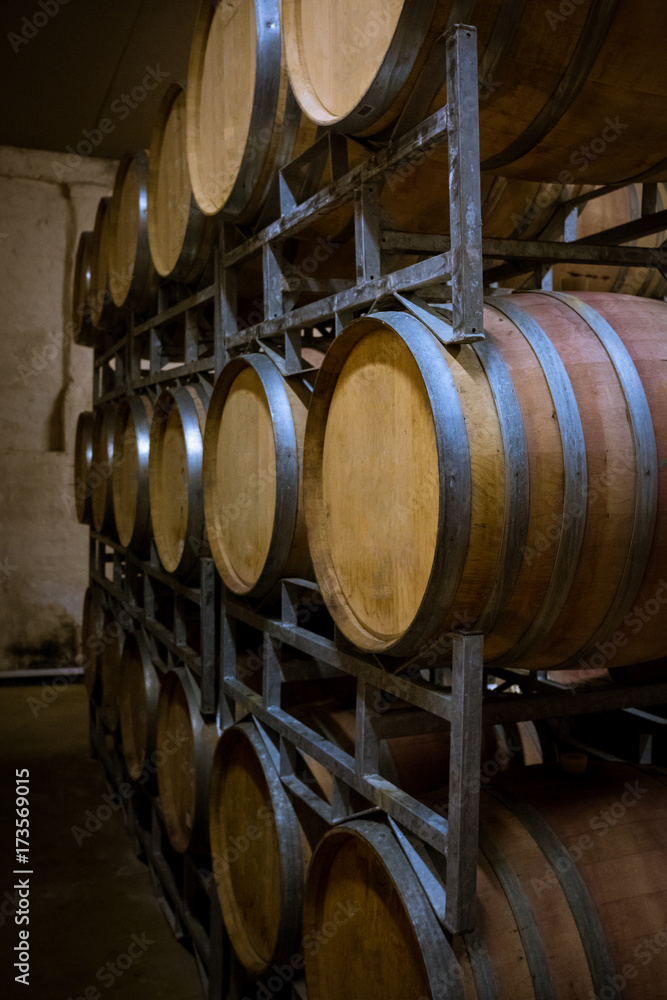 wine cellar barrels racked up