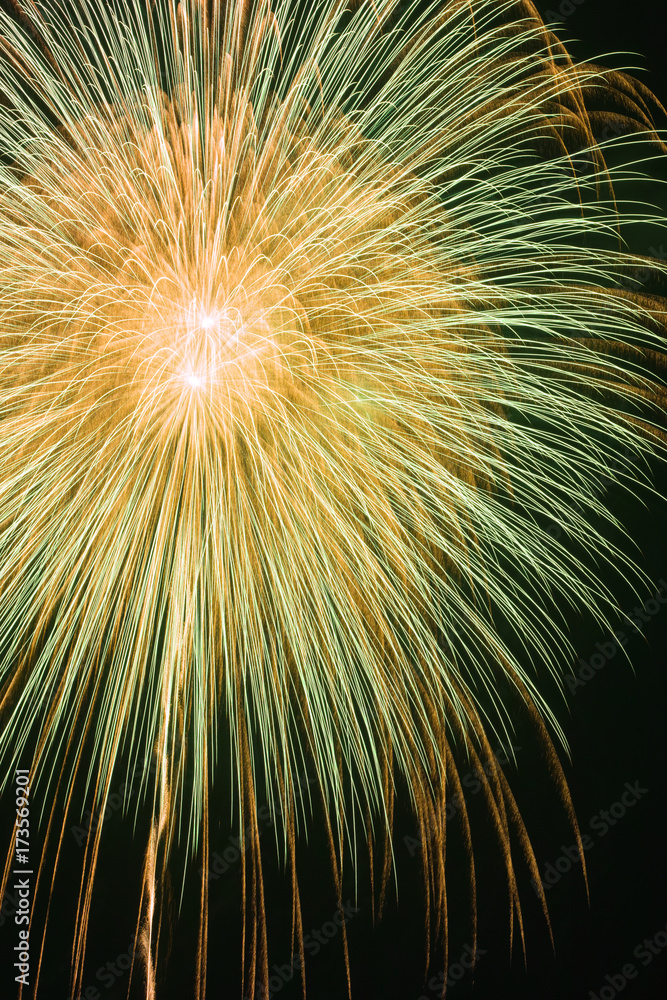Fototapeta premium hanabi