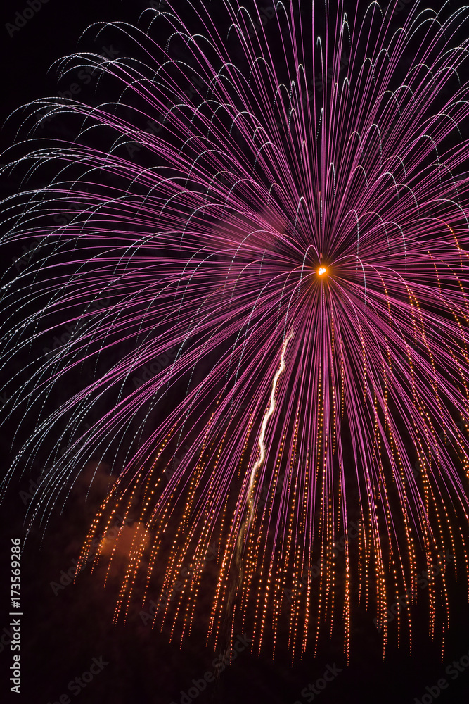 Obraz premium hanabi