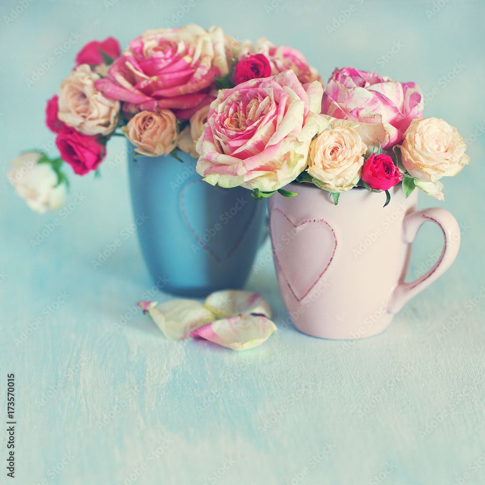 Close-up floral composition with a pink roses on a blue background.Beautiful fresh roses. Close-up floral composition with a pink roses on a blue background.Beautiful fresh roses.