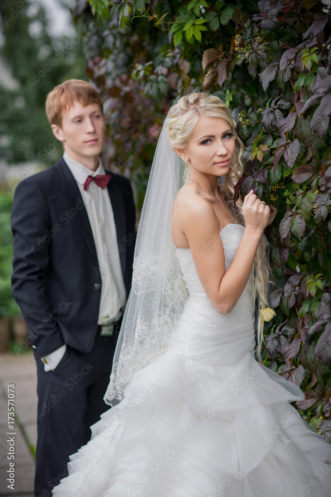 Wedding autumn. Bride and groom looking to camera Wedding autumn. Bride and groom looking to camera