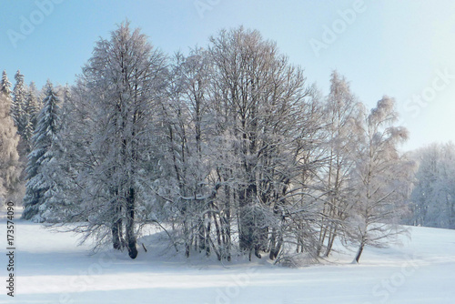 Beautiful winter countryside in Czech Republic with blue sky, Jeseniky, Rejviz © Jiri Dolezal