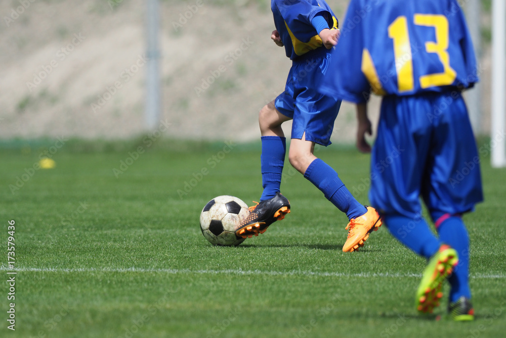 Fototapeta premium サッカー フットボール