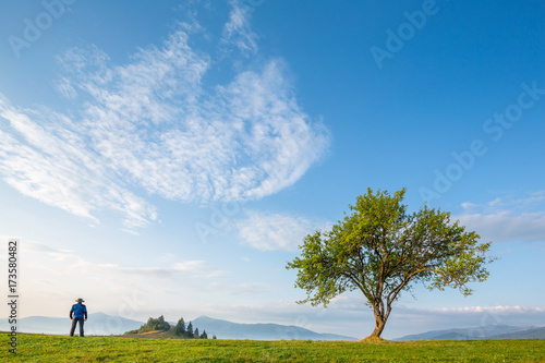 Lonely tree and morning mountain landscape.